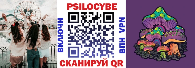 Псилоцибиновые грибы мицелий  Вязники 
